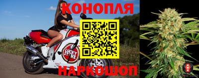 apvp Шахты