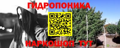 кокс Шебекино